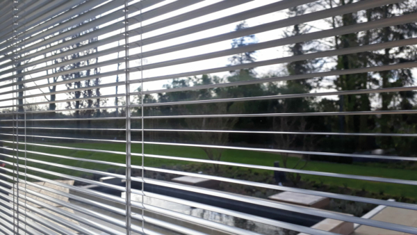 Ein bildfüllendes Fenster mit einer Jalousie im Scheibenzwischenraum mit Blick auf eine Wiese und dahinterstehende Bäume.