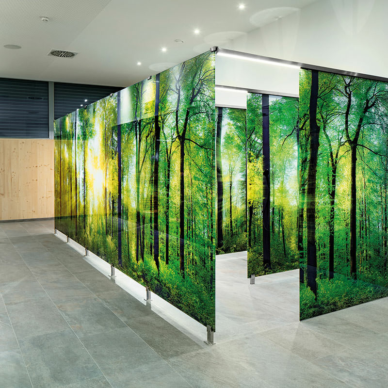 Blick in einen Raum mit mit Baummotiven bedruckten Glastrennwänden