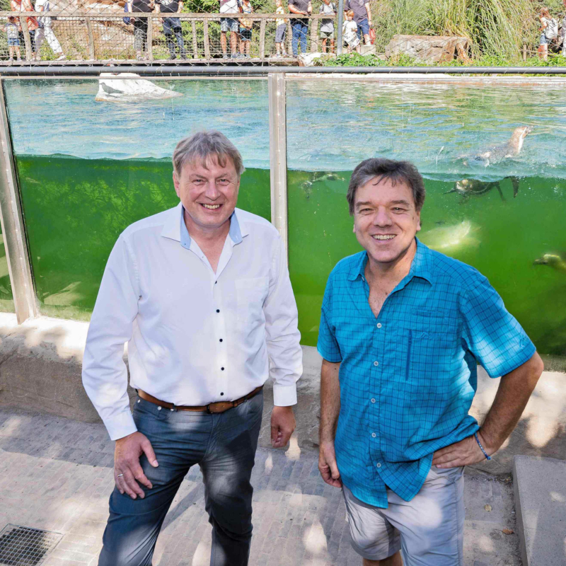 Zwei Männer stehen nahe einer rechts sichtbaren Treppe in einem Außengelände vor drei Panoramascheiben aus Glas, hinter denen in grünem Wasser drei Pinguine schwimmen. Über dem Wasser ist ein Netz gespannt. Der Mann links trägt ein weißes, langärmeliges Hemd, der Mann rechts ein kurzärmeliges, blau-kariertes Hemd.